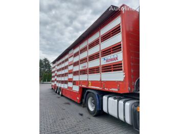Semirimorchio trasporto bestiame Pezzaioli SBA31 5 poziomów: foto 2