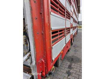 Semirimorchio trasporto bestiame Pezzaioli SBA31 5 poziomów: foto 3