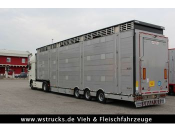 Semirimorchio trasporto bestiame Pezzaioli SBA31-SR  3 Stock  Vermietung: foto 1