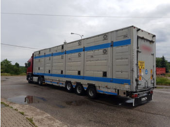 PEZZAIOLI  - Semirimorchio trasporto bestiame
