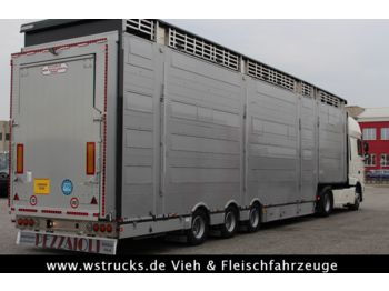 Pezzaioli SBA31-SR  3 Stock "Neu" Vermietung  - Semirimorchio trasporto bestiame