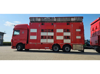 Autocarro trasporto bestiame DAF XF 105 510
