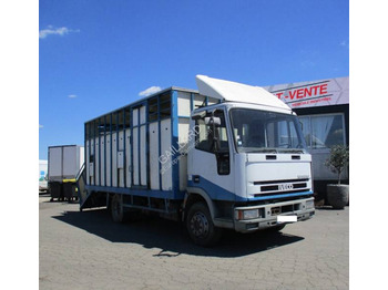 Autocarro trasporto bestiame IVECO EuroCargo 80E