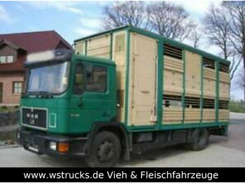 Autocarro trasporto bestiame MAN