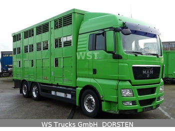 Autocarro trasporto bestiame MAN TGX 26.480