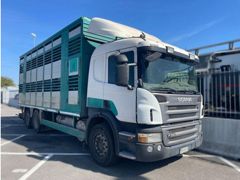 Autocarro trasporto bestiame SCANIA P 380