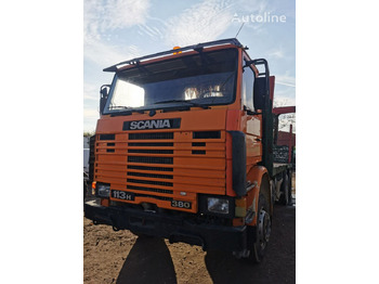 Camion trasporto legname SCANIA 113