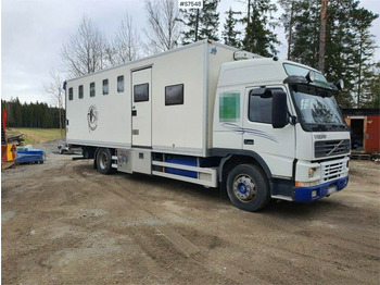 Autocarro trasporto bestiame VOLVO FM7