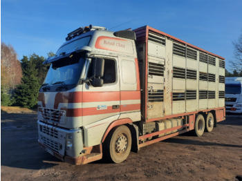 Autocarro trasporto bestiame VOLVO FH12