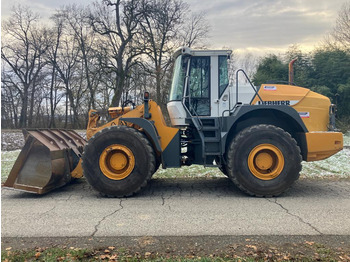 LIEBHERR L544 - Escavatore cingolato: foto 1