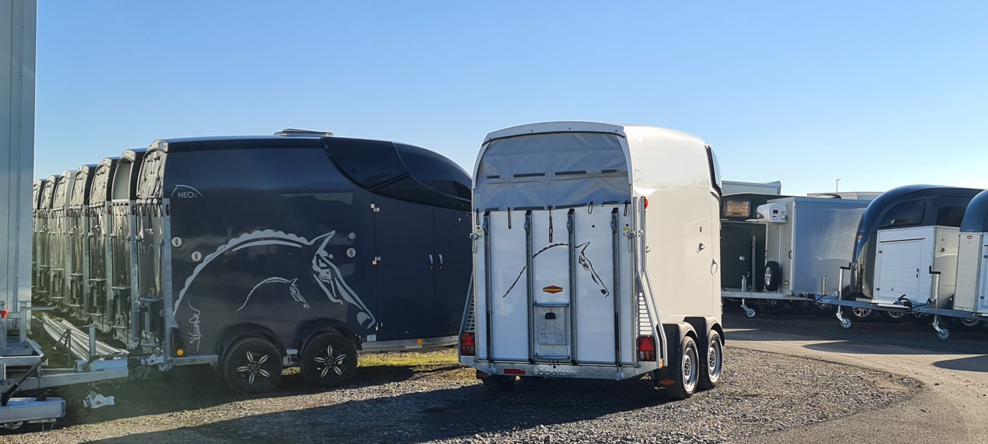 Rosemeier GmbH Anhaenger-Centrum - Veicoli da vendere undefined: foto 6