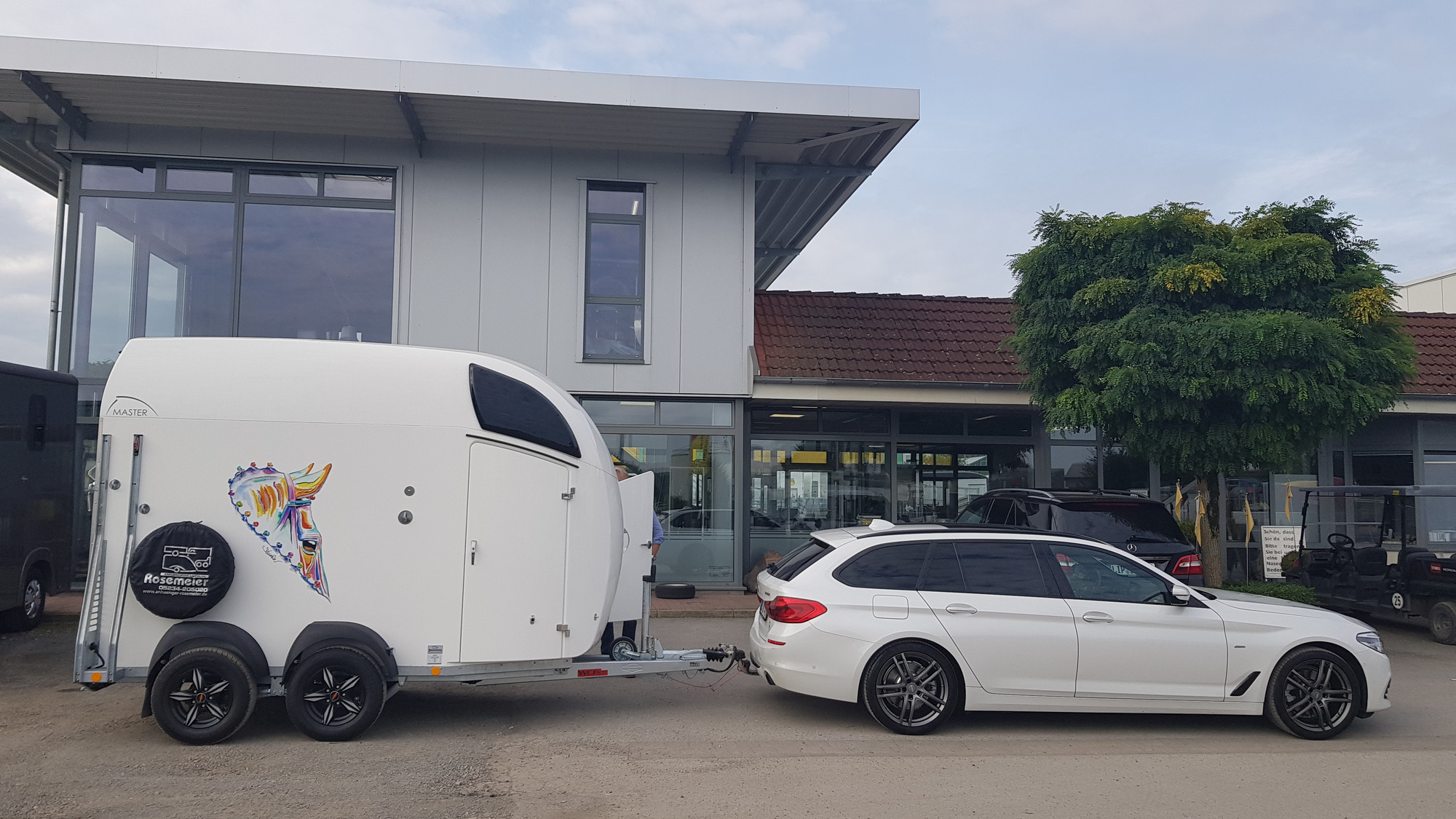 Rosemeier GmbH Anhaenger-Centrum - Veicoli da vendere undefined: foto 16