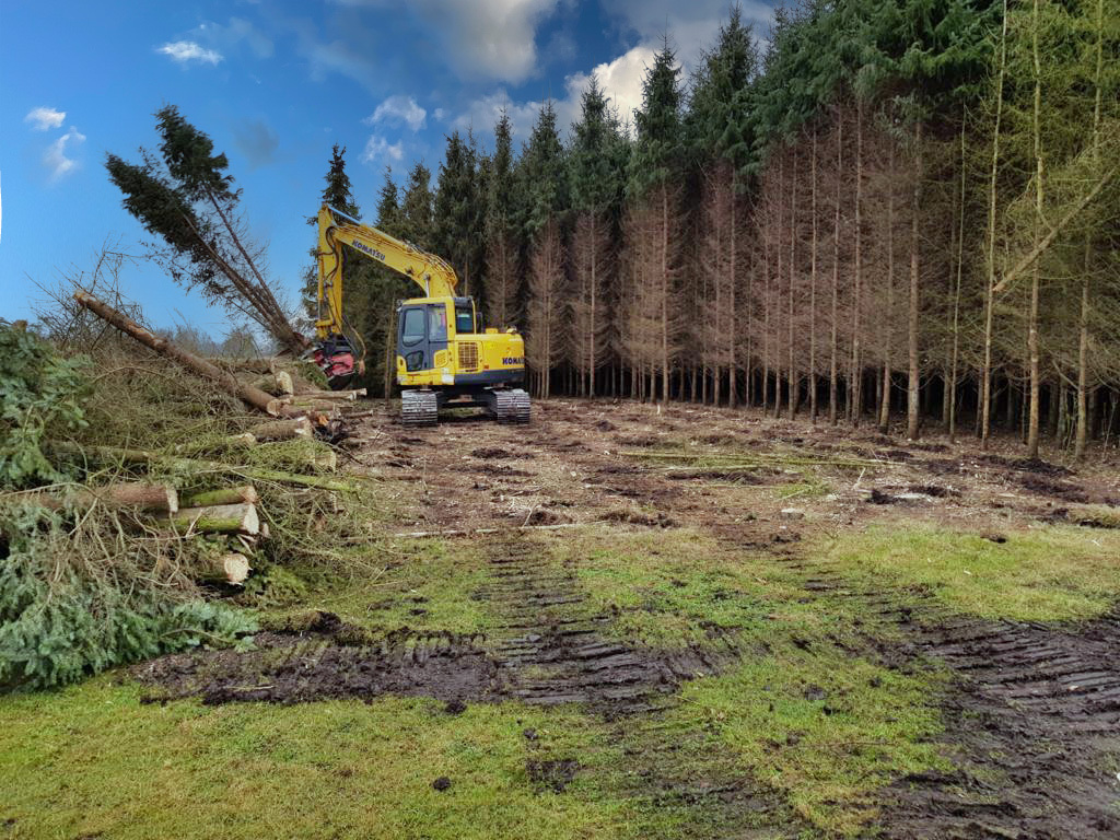 Ufkes Greentec - Furgoni IVECO - Anno: 2011 undefined: foto 1