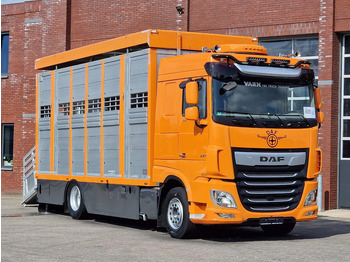 Autocarro trasporto bestiame DAF XF 530