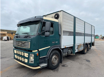 Van trasporto cavalli VOLVO FM9