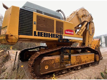 Escavatore cingolato Liebherr R 984 B Litronic: foto 3