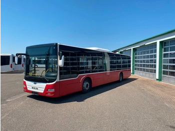 Autobus urbano MAN A 21 Lions City  KLIMA  EURO 6  ZF EcoLife: foto 5