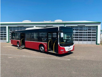 Autobus urbano MAN A 21 Lions City  KLIMA  EURO 6  ZF EcoLife: foto 3