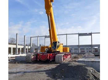 Gru cingolata LIEBHERR