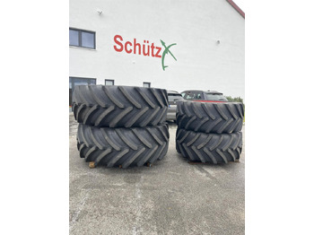 : immagine di intestazione