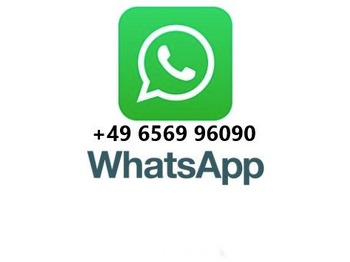 Camion immondizia nuovo MAN TGS 26.320 6x2 Faun Presswagen 524 MAN TGS 26.320 6x2 Faun Presswagen 524: foto 2 Camion immondizia nuovo MAN TGS 26.320 6x2 Faun Presswagen 524 MAN TGS 26.320 6x2 Faun Presswagen 524: foto 2