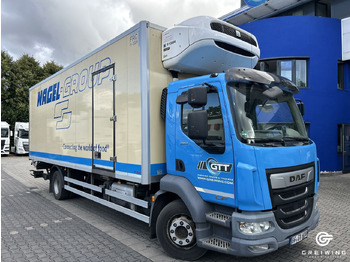 Autocarro frigorifero DAF LF 290