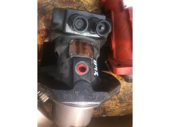 : immagine di intestazione