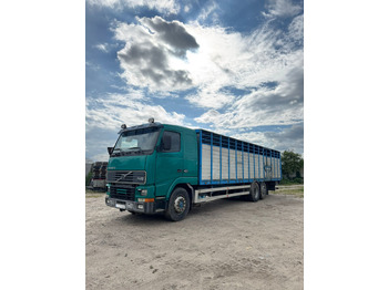 Autocarro con pianale/ Cassone fisso VOLVO FH12.420: foto 3