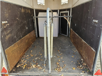 Trailer trasporto cavalli Blomert T2BPA Pferdeanhänger T2BPA Pferdeanhänger: foto 3 Trailer trasporto cavalli Blomert T2BPA Pferdeanhänger T2BPA Pferdeanhänger: foto 3