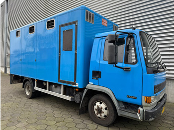 Autocarro trasporto bestiame DAF LF45.130 / Horse Truck / 6 Cilinder / Manual Gearbox / Euro 2 / NL Trucks: foto 2