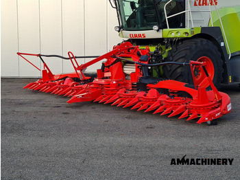 : immagine di intestazione