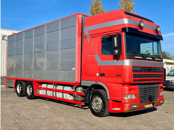 Autocarro trasporto bestiame DAF XF 95.430 BERDEX 3 decks. Water, fans, Scales! Excellent condition.: foto 5