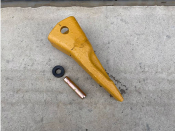 : immagine di intestazione