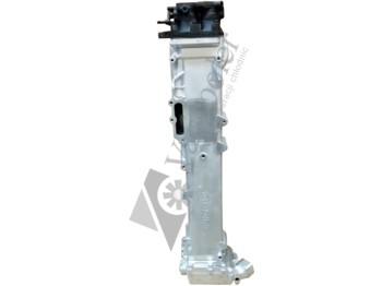 : immagine di intestazione