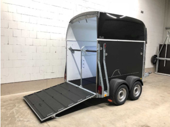 Trailer trasporto cavalli nuovo BOECKMANN Duo R ALB Pferdeanhänger: foto 3