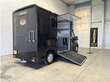 Van trasporto cavalli nuovo Fiat Böckmann Compact Stall LKW: foto 2