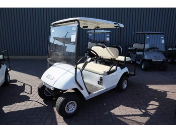 Golf cart BRINGO DG-C2 Valid Inspection, *Guarantee! Dutch R: foto 5