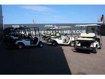 Golf cart BRINGO DG-C2 Valid Inspection, *Guarantee! Dutch R: foto 4