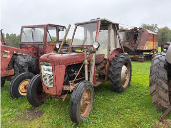 Trattore MASSEY FERGUSON