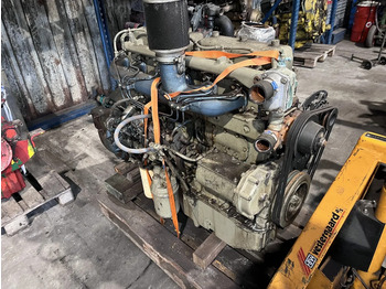 : immagine di intestazione