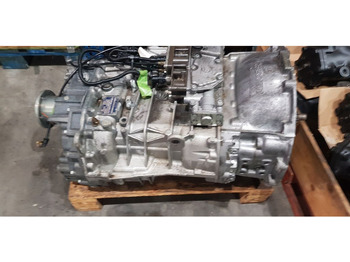 : immagine di intestazione