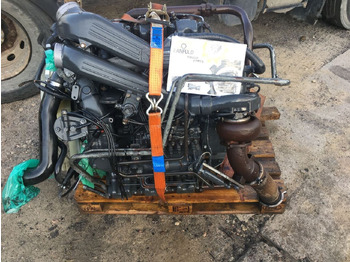 : immagine di intestazione