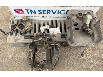 : immagine di intestazione