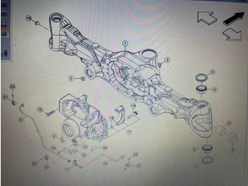 : immagine di intestazione