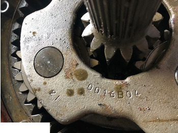 : immagine di intestazione