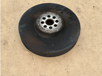 : immagine di intestazione