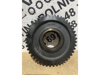 : immagine di intestazione