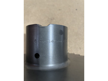 : immagine di intestazione