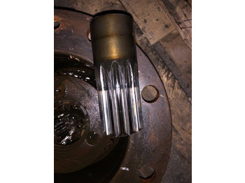 : immagine di intestazione