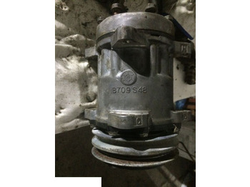 : immagine di intestazione